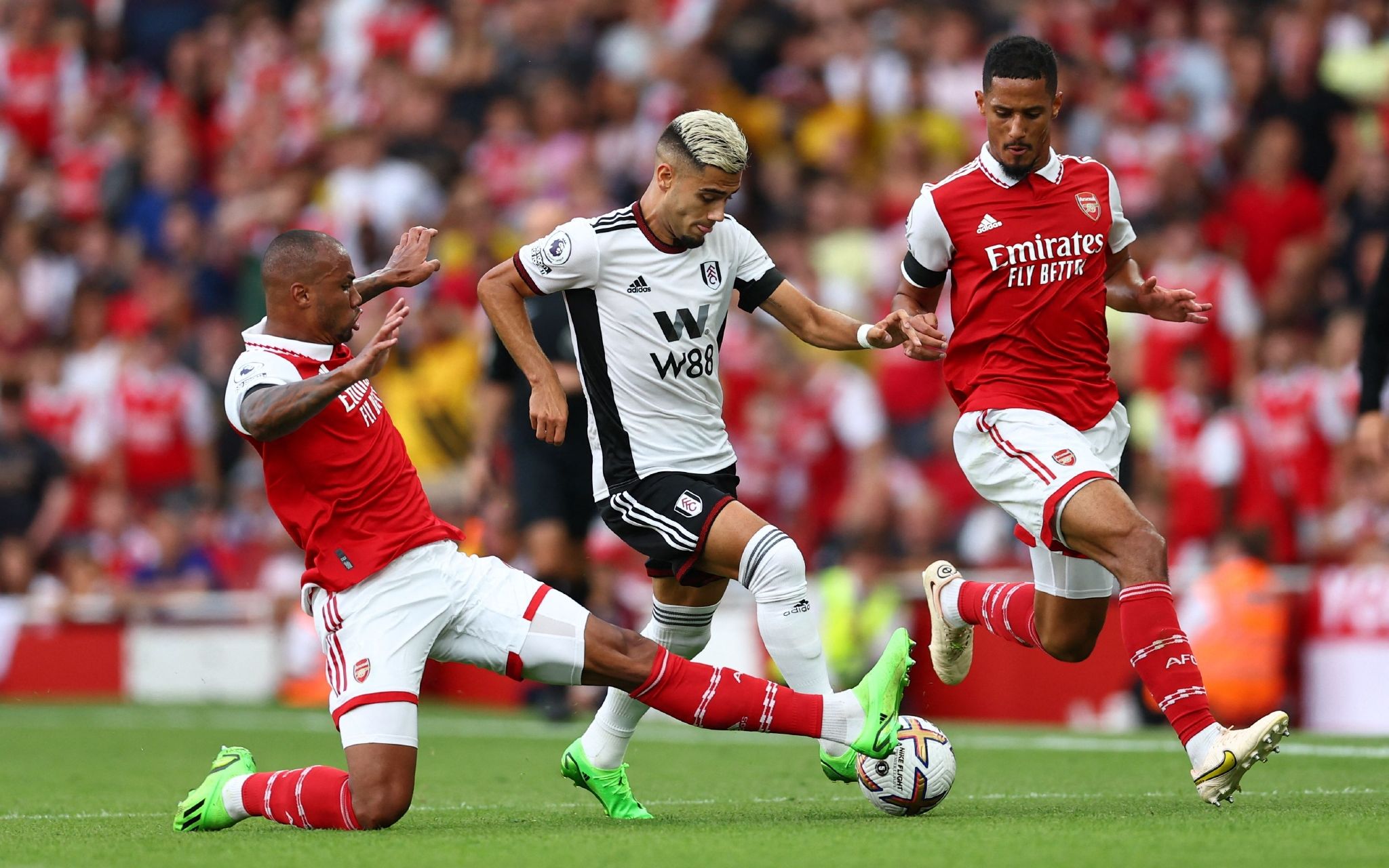 教练团队的 教练团队的