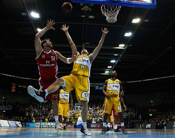 他们不仅为 他们不仅为